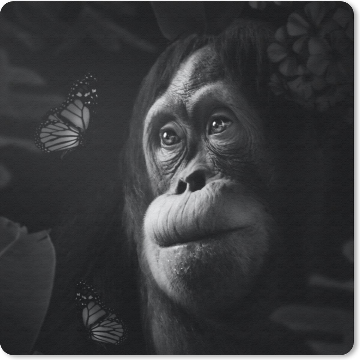 Muismat 30x30 cm - Mousepad Vlinder - Aap - Jungle - Zwart - Wit - Muismatten