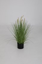 kunstplant - Kamgras - Cynosurys cistatus - topkwaliteit plant - kamerplant - Groen - 80 cm hoog
