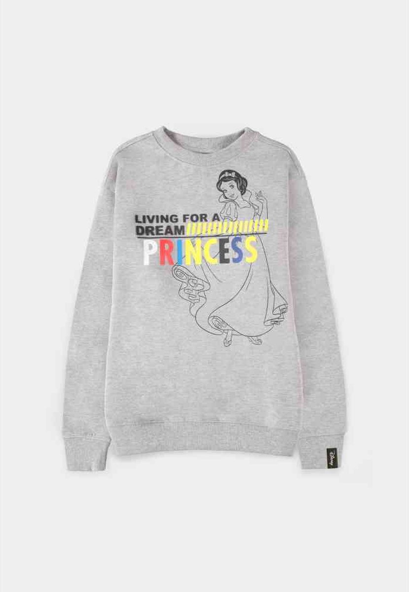 Disney Snow White Sweater/trui kinderen -Kids 122- Living for a Dream Grijs
