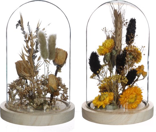  - Glazen stolp met droogbloemen naturel Ø12cm (1 st.)