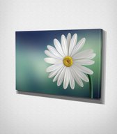 White Flower Canvas - 60 x 40 cm - Bloemen - Schilderij - Canvas - Slaapkamer - Wanddecoratie  - Slaapkamer - Foto op canvas