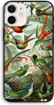 CaseCompany® - iPhone 12 Pro hoesje - Haeckel Trochilidae - 100% Biologisch Afbreekbaar - Duurzaam - Biodegradable Soft Case - Milieuvriendelijke Print op Achterkant - Zwarte Zijkanten - Besc