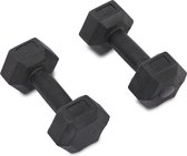 Rebblo Halterset - Fitness Dumbbells - Set van 2 Gewichten - Zwart - 2 kg
