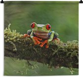 Tenture murale - Tissu mural - Grenouille aux yeux rouges sur une branche couverte - 90x90 cm - Tapisserie murale