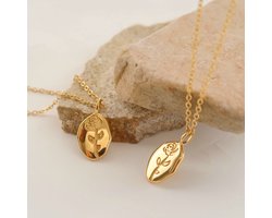 Roos Ketting - Goudkleurig - Verguld Met 18k Goud - Dames Ketting - Sieraden - Halsketting Vrouwen - Cadeau Voor Haar - Luxe Doos - Sieraden - Stainless Steel - Duurzame Kwaliteit