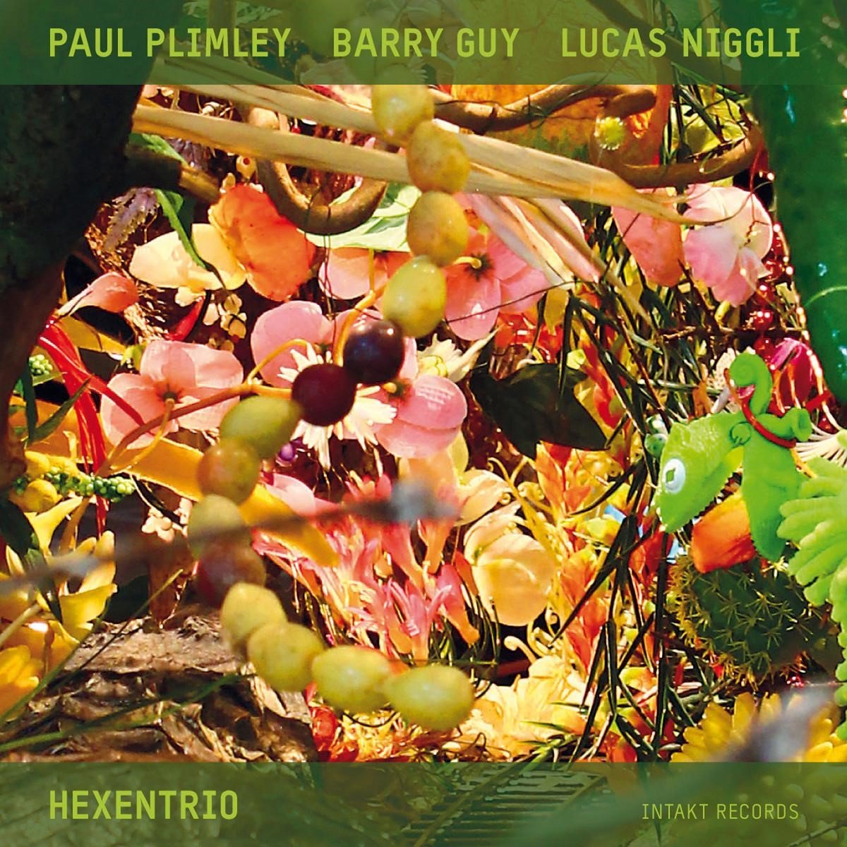 Paul Plimley, Barry Guy, Lucas Niggli - Hexentrio (CD)