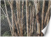 Trend24 - Behang - Bamboo Forest - Vliesbehang - Behang Woonkamer - Fotobehang - 150x105 cm - Incl. behanglijm