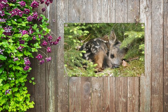 Décoration de jardin Cerf endormi - 60x40 cm - Affiche de jardin - Toile de jardin