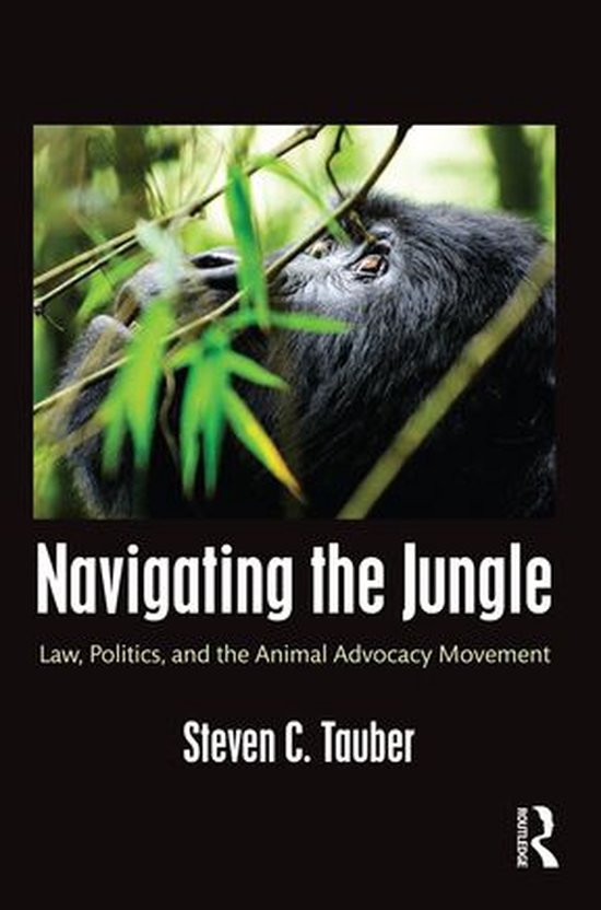 Navigating the Jungle (ebook), Steven C. Tauber  9781317381709