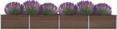 Everest Plantenbak verhoogd 600x80x45 cm gegalvaniseerd staal bruin