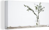 Canvas schilderij 160x80 cm - Wanddecoratie Eucalyptustakken in een glazen vaas - Muurdecoratie woonkamer - Slaapkamer decoratie - Kamer accessoires - Schilderijen