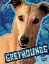 All About Dogs - Greyhounds