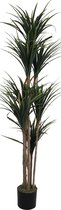 Dracaena Kunstplant 150 cm | Dracaena Marginata Kunstboom | Kunstplanten voor Binnen | Drakenbloedboom Kunstplant
