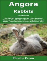 Angora Rabbit for Novices