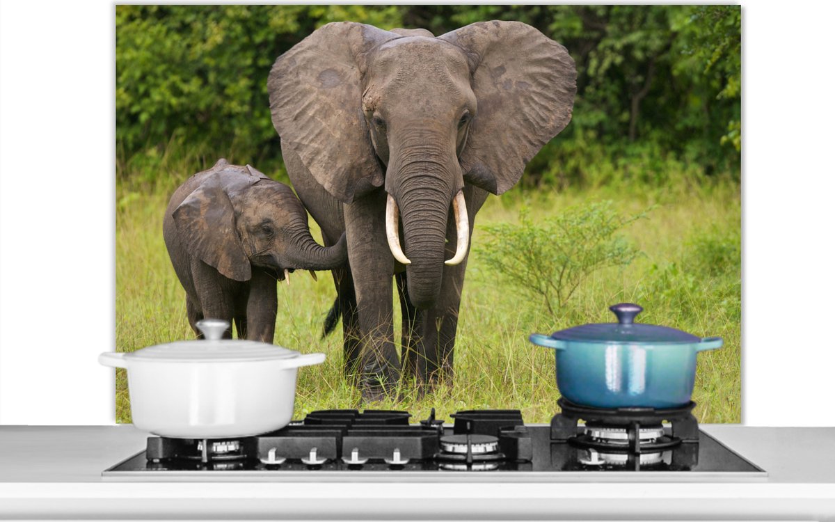 Spatscherm keuken 100x65 cm - Kookplaat achterwand Olifant - Kalf - Landschap - Muurbeschermer - Spatwand fornuis - Hoogwaardig aluminium