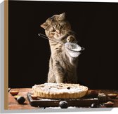 Hout - Bruine Scottisch Fold Kat Spelend met Zeef tijdens Taart Bakken - 50x50 cm - 9 mm dik - Foto op Hout (Met Ophangsysteem)