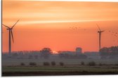 Dibond - Zonsondergang bij Windmolens in het Veld - 75x50 cm Foto op Aluminium (Met Ophangsysteem)
