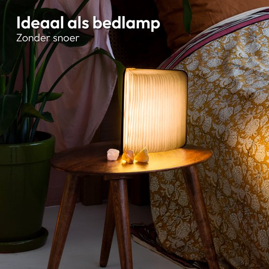Lampe-livre avec couverture en bois, debout et éclairée, sur une table d'appoint à côté d'une plante.