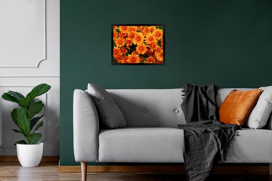 Cadre photo avec poster - Fleurs - Oranje - Chrysanthème - 40x30 cm - Cadre poster