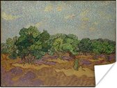 Olijfbomen - Schilderij van Vincent van Gogh Poster 160x120 cm - Foto print op Poster (wanddecoratie woonkamer / slaapkamer) XXL / Groot formaat!