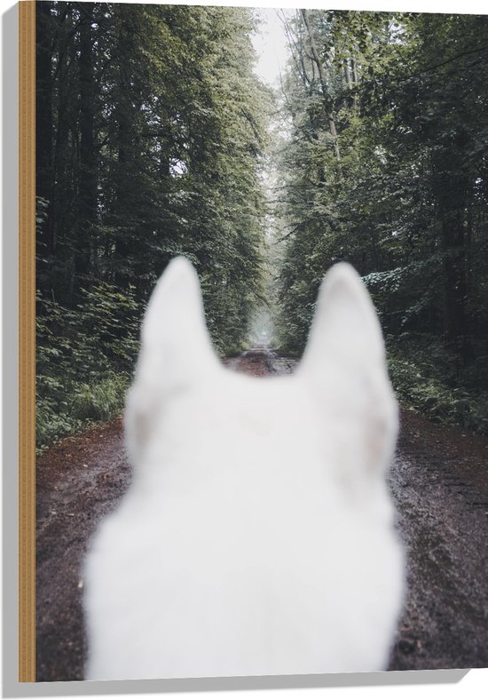 WallClassics - Hout - Achterkant Witte Hond in het Bos - 50x75 cm - 9 mm dik - Foto op Hout (Met Ophangsysteem)