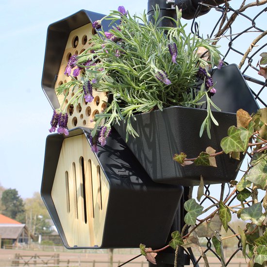 Capi Europe - Plantenbakje Hive - 19x23x20 - Antraciet - Capi ...