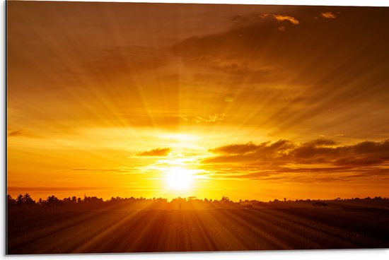 Dibond - Felle Zonsondergang aan de Horizon achter Bomen - 75x50 cm Foto op Aluminium (Wanddecoratie van metaal)