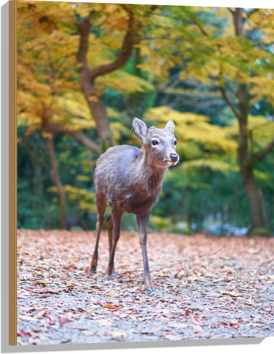 Hout - Hertje tussen Herfstbladeren in Bos - 60x80 cm - 9 mm dik - Foto op Hout (Met Ophangsysteem)