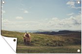 Tuindecoratie Schotse Hooglanders - Gras - Wolken - Dieren - 60x40 cm - Tuinposter - Tuindoek - Buitenposter