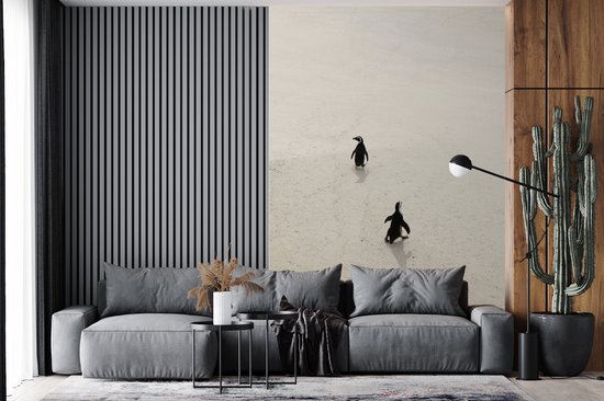 Papier peint - Papier peint photo Deux pingouins marchent sur le sable en Afrique du Afrique - Largeur 170 cm x hauteur 260 cm