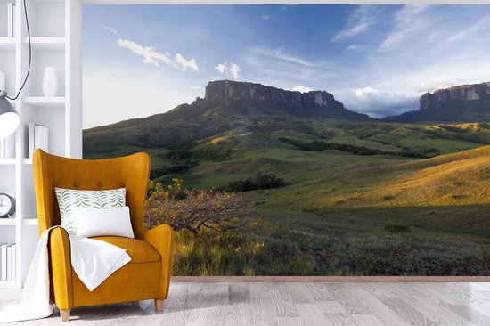 Papier peint vinyle - Coucher de soleil dans le parc national de Canaima au Venezuela largeur 390 cm x hauteur 260 cm - Tirage photo sur papier peint (disponible en 7 tailles)