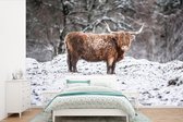 Behang - Fotobehang Schotse Hooglander - Boom - Sneeuw - Breedte 330 cm x hoogte 220 cm
