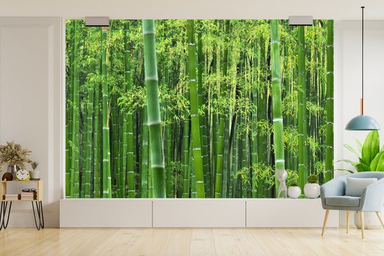 Papier peint - Papiers Papier peint photo - Forêt de bambous - Largeur 390 cm x Hauteur 260 cm