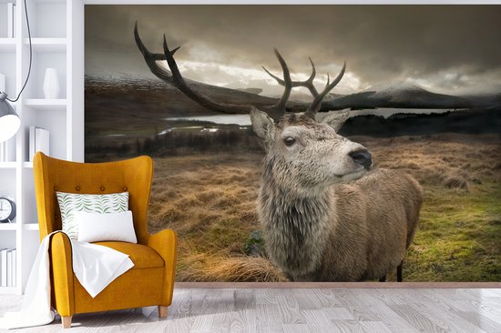 Papier peint photo peint photo vinyle - Gros plan cerf largeur 360 cm x hauteur 240 cm - Tirage photo sur papier peint (disponible en 7 tailles)