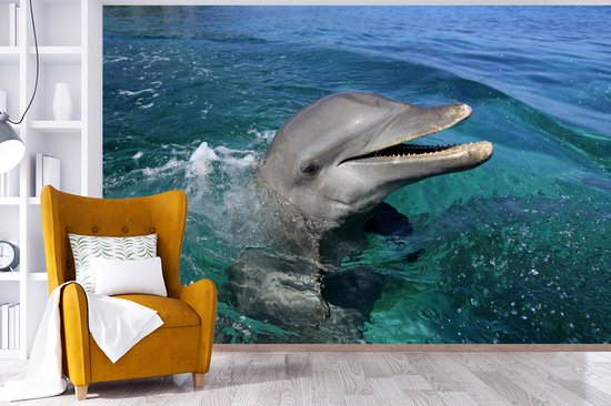 Papier peint photo peint photo vinyle - Verre curieux largeur 330 cm x hauteur 220 cm - Tirage photo sur papier peint (disponible en 7 tailles)