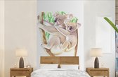 Behang - Fotobehang Koala - Tak - Waterverf - Breedte 120 cm x hoogte 240 cm