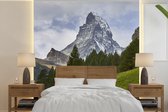 Behang - Fotobehang De Zwitserse Matterhorn achter een dennenbos - Breedte 240 cm x hoogte 240 cm
