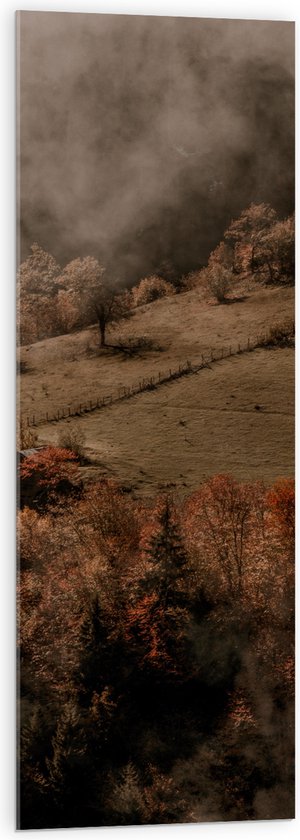 Acrylglas - Bomen op Berg met Mist van Wolken - 40x120 cm Foto op Acrylglas (Met Ophangsysteem)