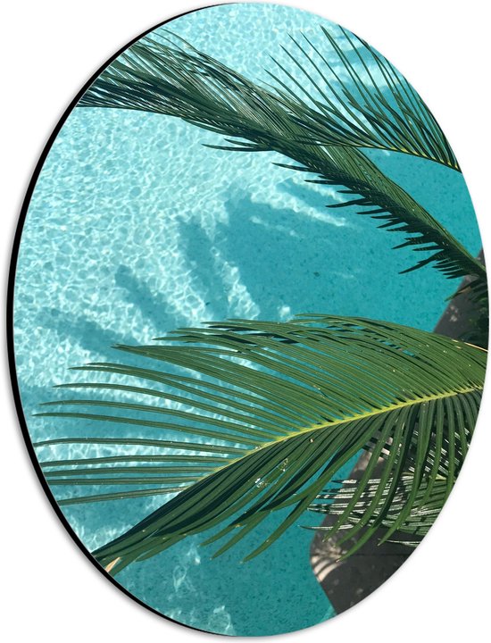 Dibond Ovaal - Groene Plant bij Zwembad - 21x28 cm Foto op Ovaal (Met Ophangsysteem)