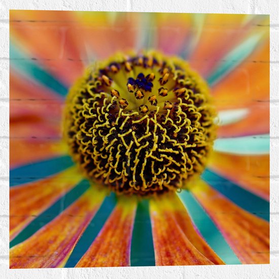Muursticker - Kleurrijke Bloem - 50x50 cm Foto op Muursticker