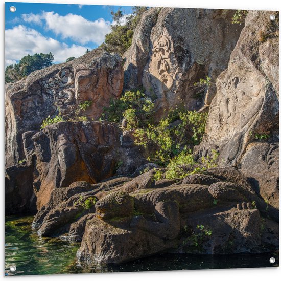 Tuinposter – Begroeiing op Rotsen in het Water - 100x100 cm Foto op Tuinposter (wanddecoratie voor buiten en binnen)