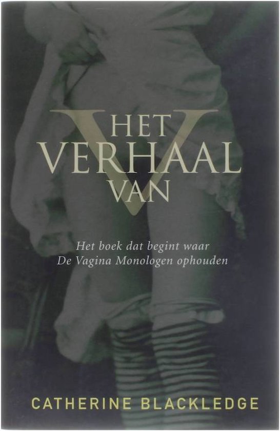 Cover van het boek 'Het verhaal van V'