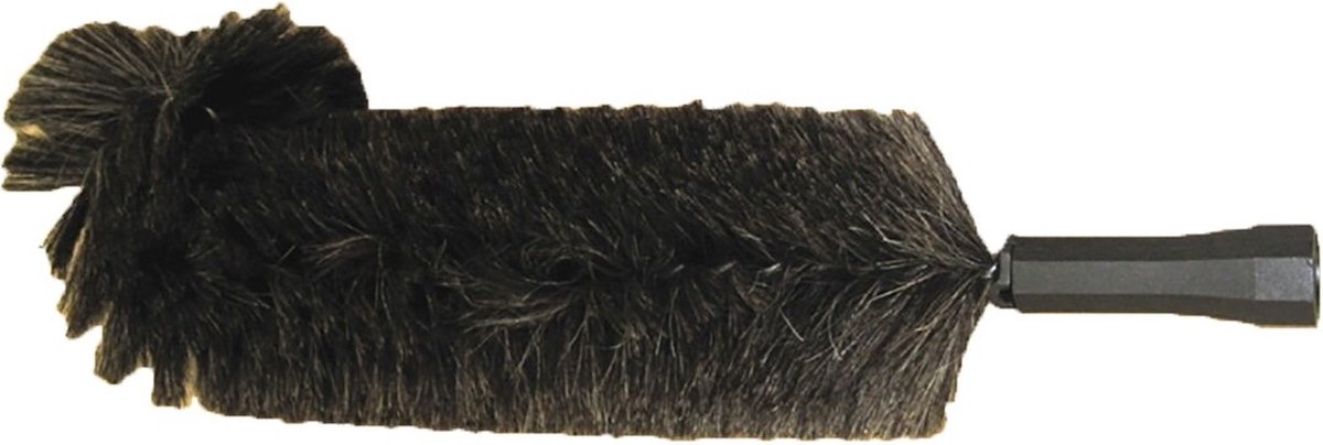 CALICOSY -