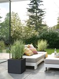 Zwarte vierkante plantenbak met hoge grassoorten op een terras. Naast een loungeset met kussens.