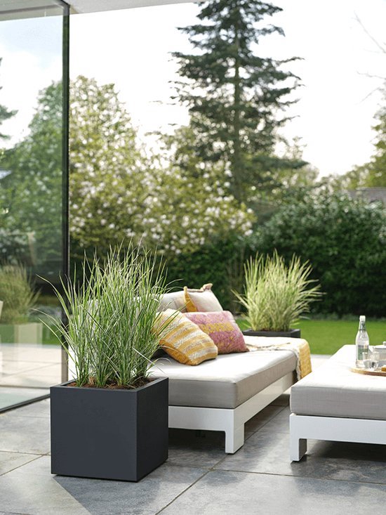 Zwarte vierkante plantenbak met hoge grassoorten op een terras. Naast een loungeset met kussens.
