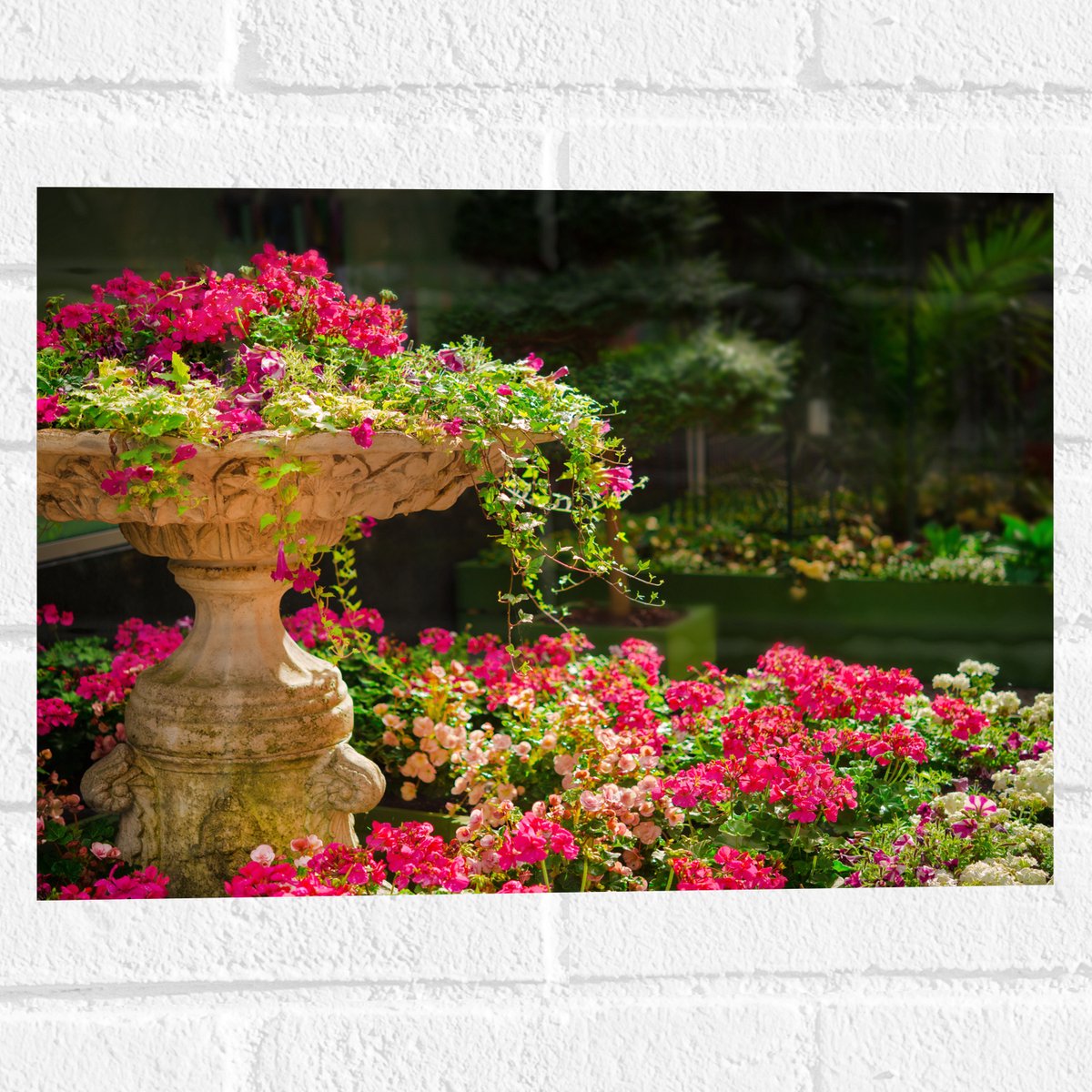 Muursticker - Felroze Bloemen uit Fontein - 40x30 cm Foto op Muursticker