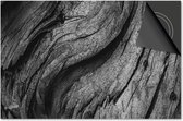 Protection pour plaques à induction 71x52 - Tapis de protection pour plaques à induction - Protection Dietrix - Exclusivité - Motif bois et arbre - Souche d'arbre Zwart et blanc