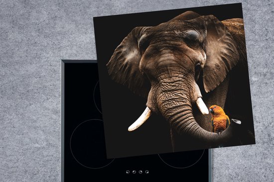 KitchenYeah® Inductie beschermer 78x78 cm - Olifant - Papegaai - Tanden - Kookplaataccessoires - Afdekplaat voor kookplaat - Inductiebeschermer - Inductiemat - Inductieplaat mat