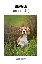 Beagle (Bigle Cão)