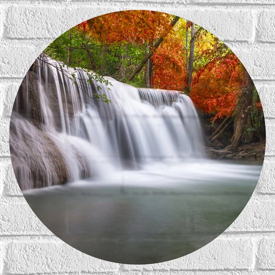 Muursticker Cirkel - Watervallen bij Groen en Oranje Bomen in Herfstbos - 50x50 cm Foto op Muursticker